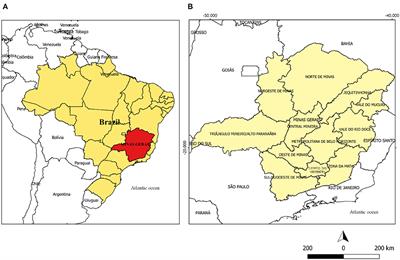 A Vulnerability Analysis for the Management of and Response to the COVID-19 Epidemic in the Second Most Populous State in Brazil